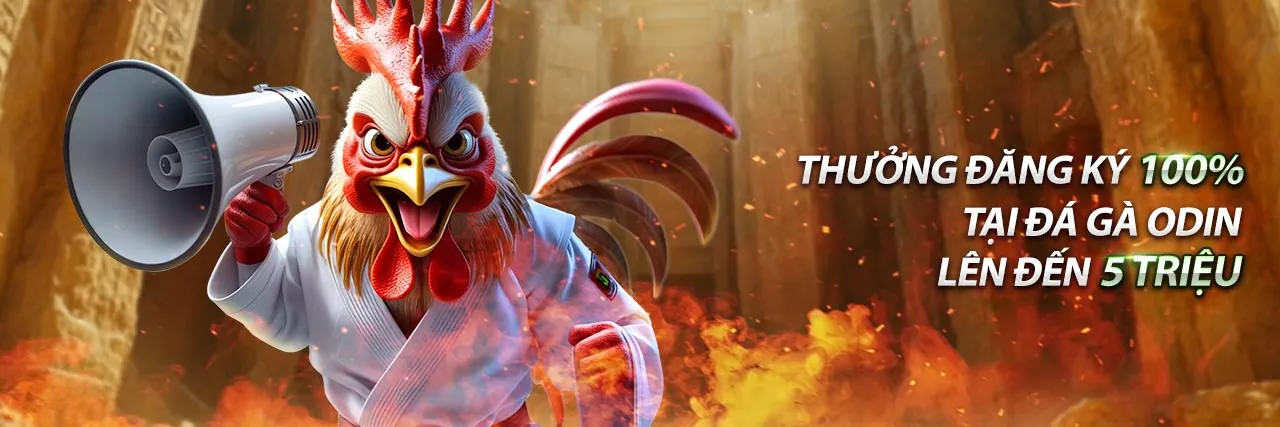 Chương Trình Đối Tác 67win 2026